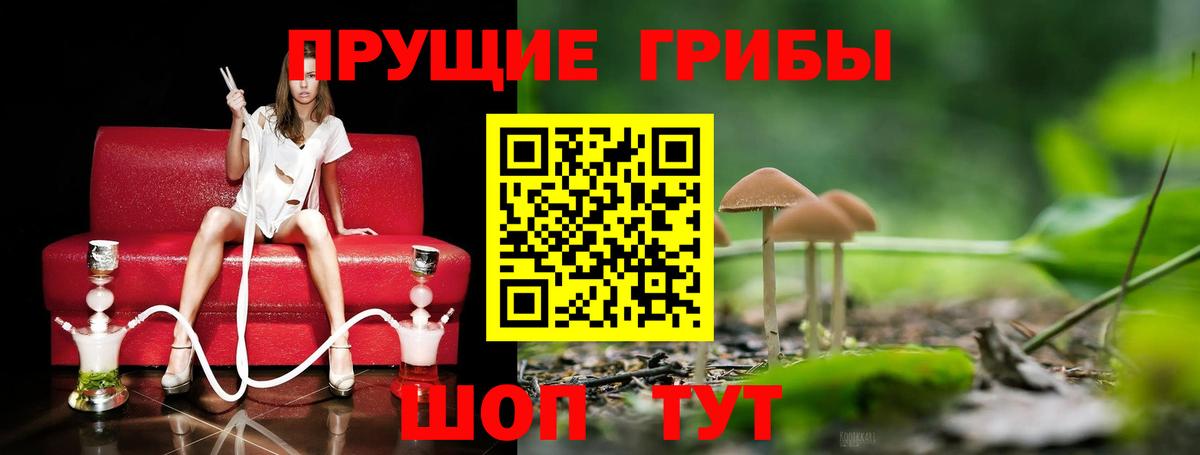 Псилоцибиновые грибы Psilocybe  Вход с VPN  Удомля 