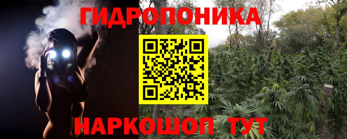 Бошки Шишки Ganja  Бошки марихуана тримм  Удомля  Вход с VPN  Каннабис план 